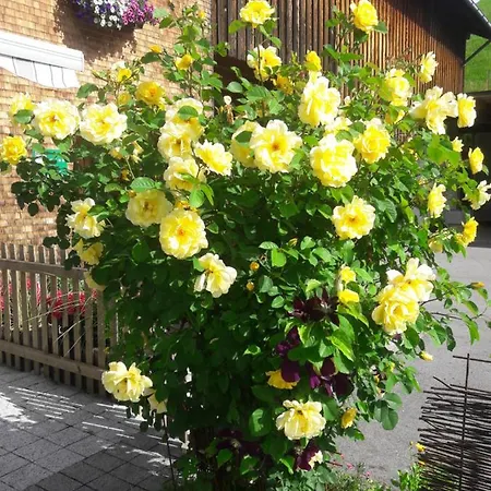 Panoramahof Eggele Bed and breakfast