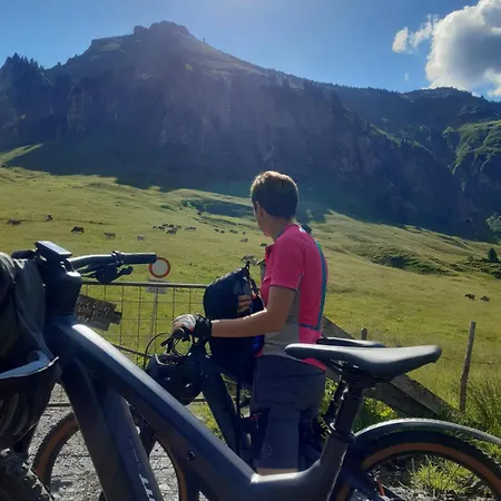 Panoramahof Eggele 3* Schoppernau