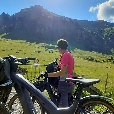 Panoramahof Eggele 3* Шоппернау