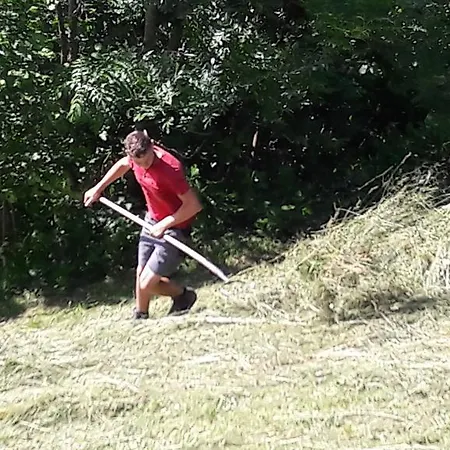 Bed and breakfast Panoramahof Eggele Schoppernau