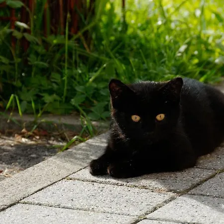 Bed and breakfast Panoramahof Eggele